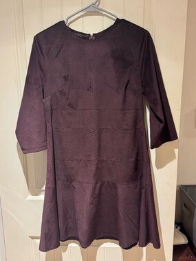 Plum velvet dress